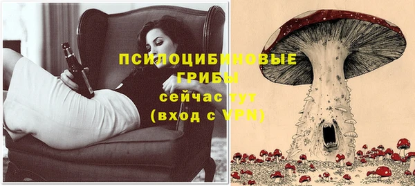 стаф Алексеевка