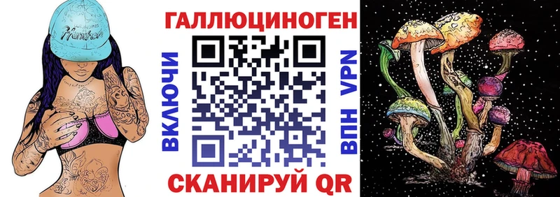 продажа наркотиков  Боготол  Псилоцибиновые грибы прущие грибы 
