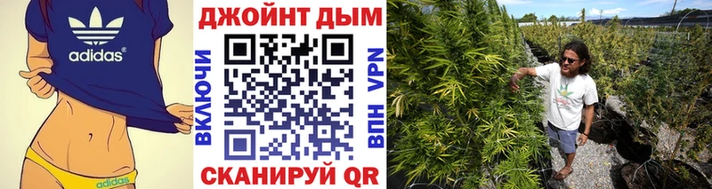 Бошки Шишки тримм  магазин продажи наркотиков  omg рабочий сайт  Боготол 